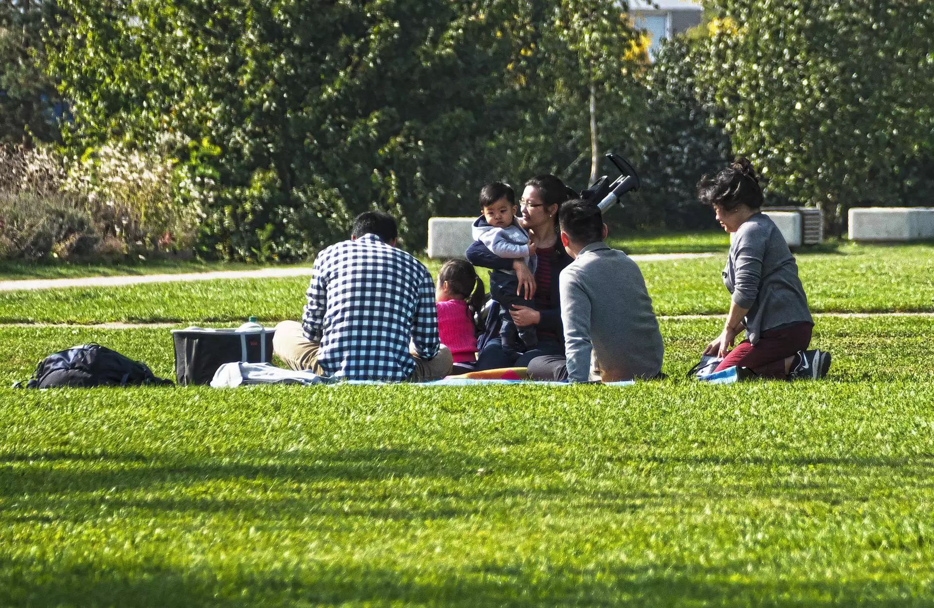Family at a picnic